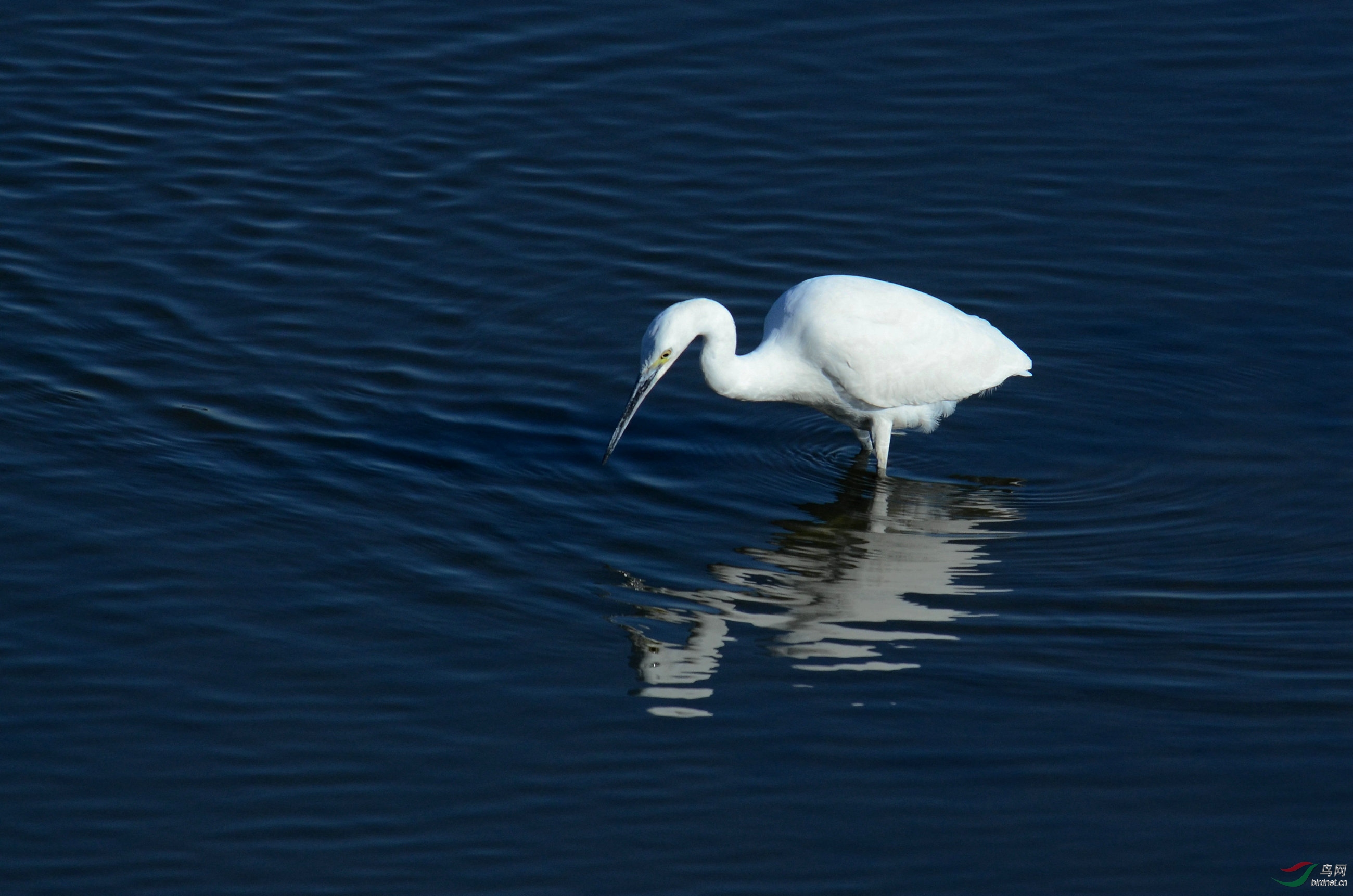 DSC_6846.JPG