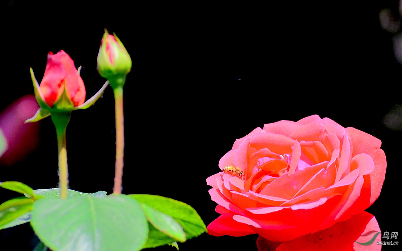 DSC_3477.JPG