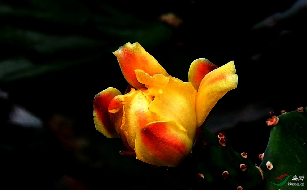 DSCN8573.JPG