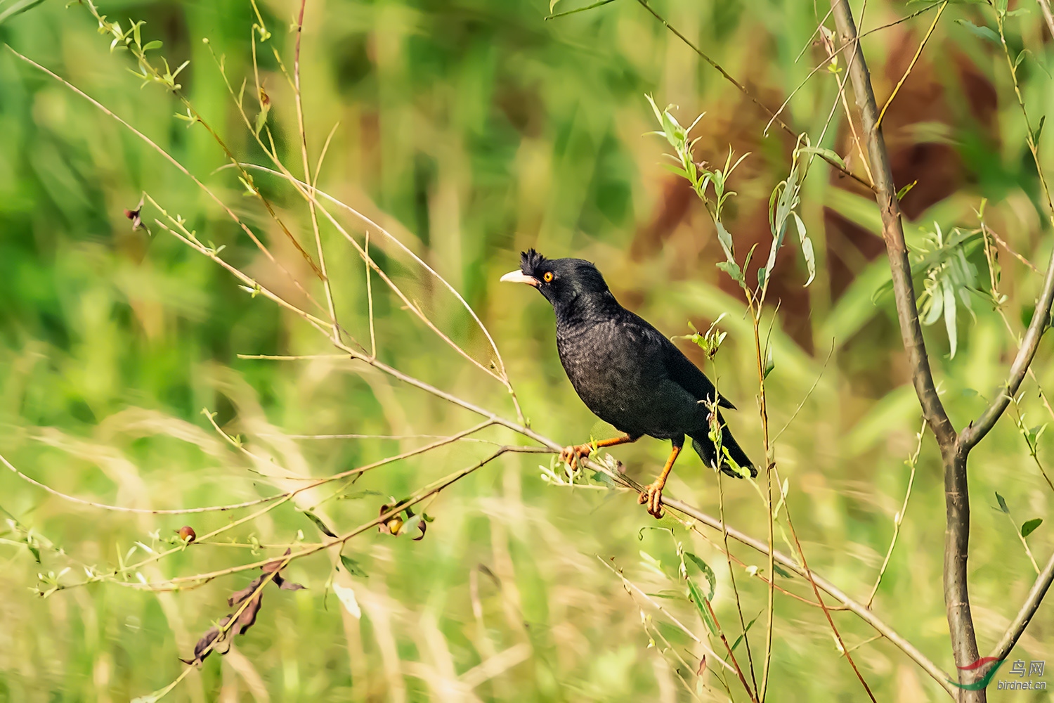 _DSC5014-2.jpg
