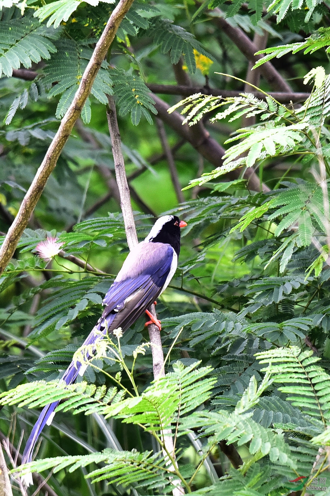 DSC_0651.JPG