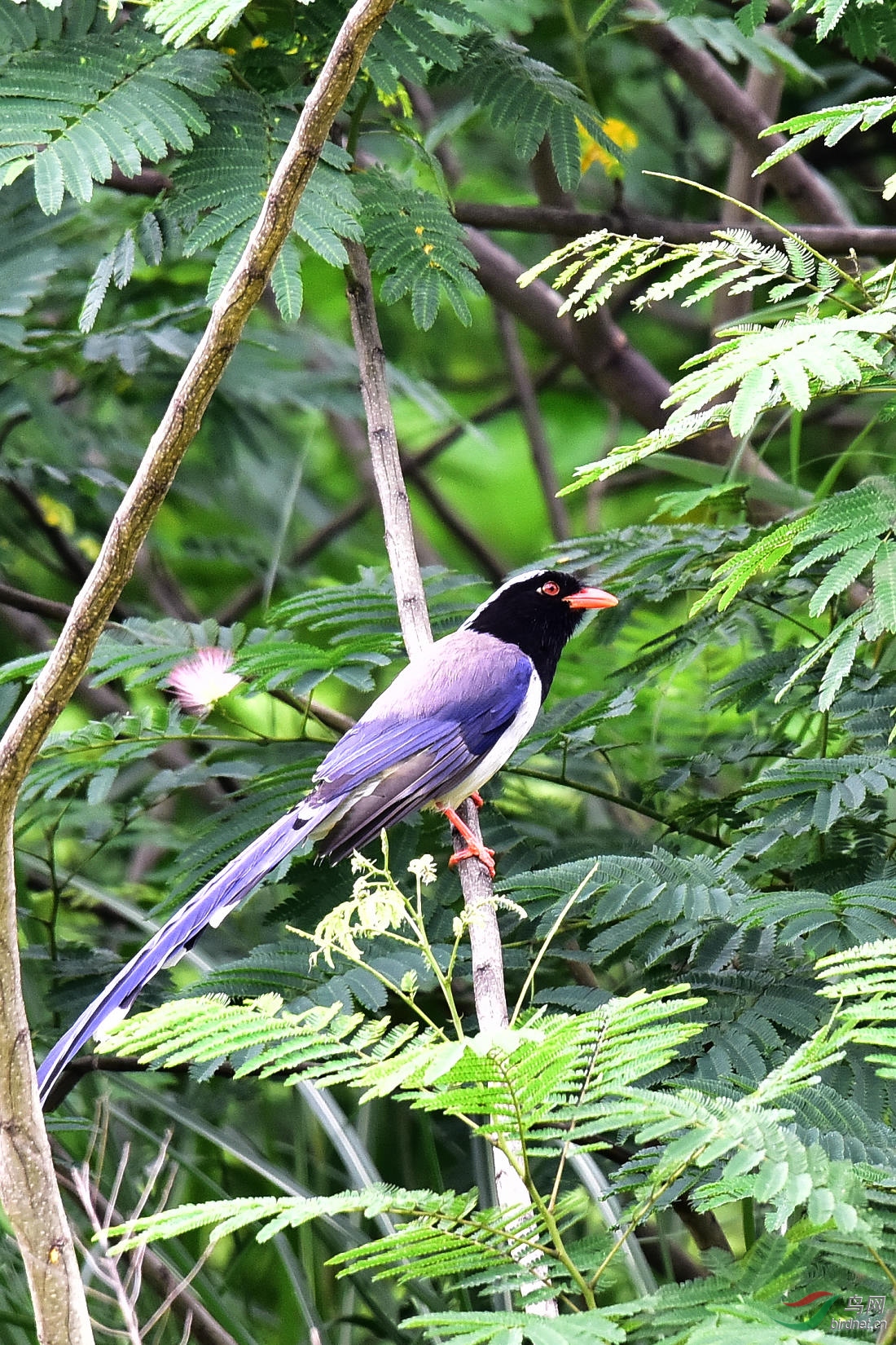 DSC_0652.JPG