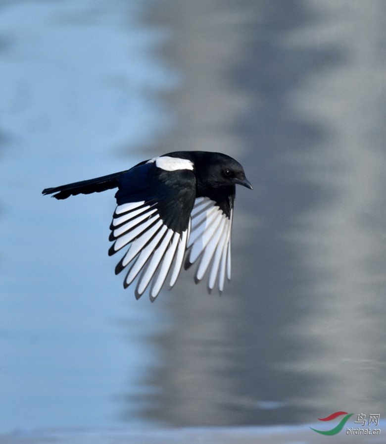 DSC_4720_00001_����.jpg