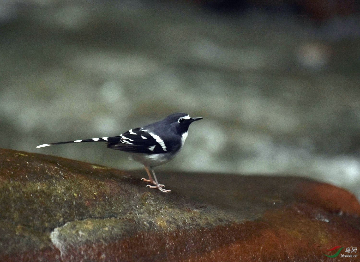 D72_6404.jpg