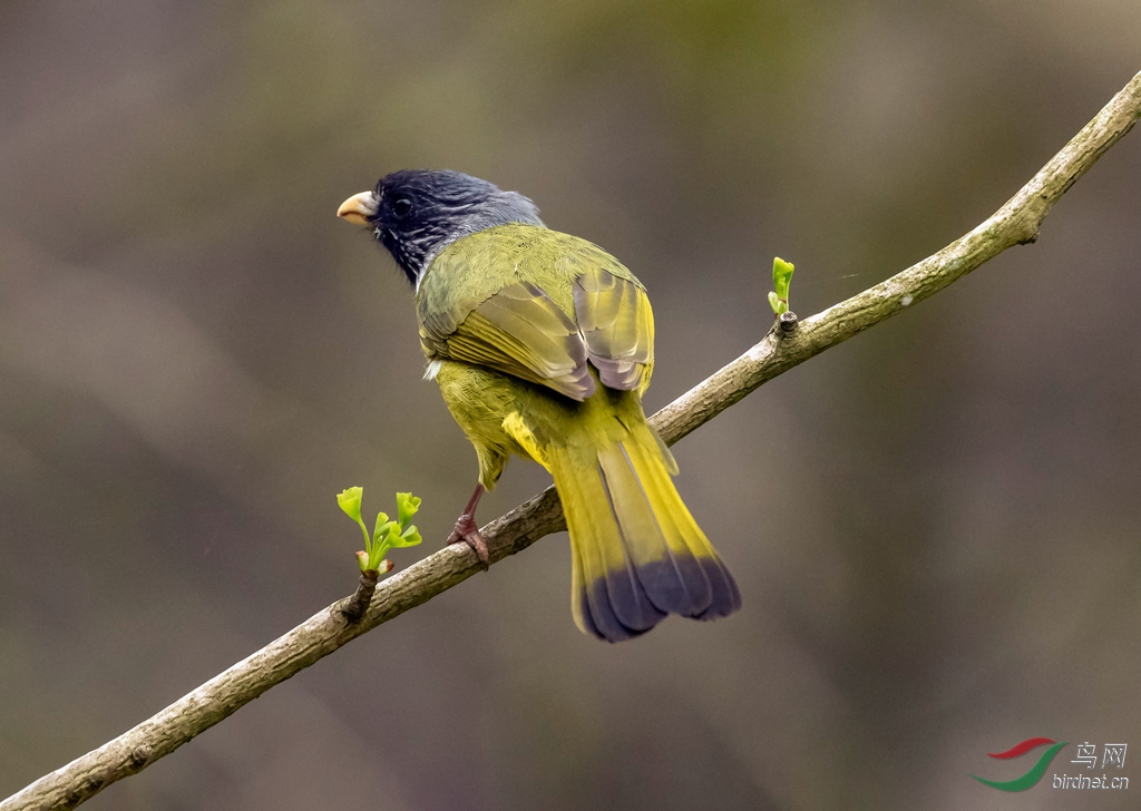 3S5A5932  01_����.jpg