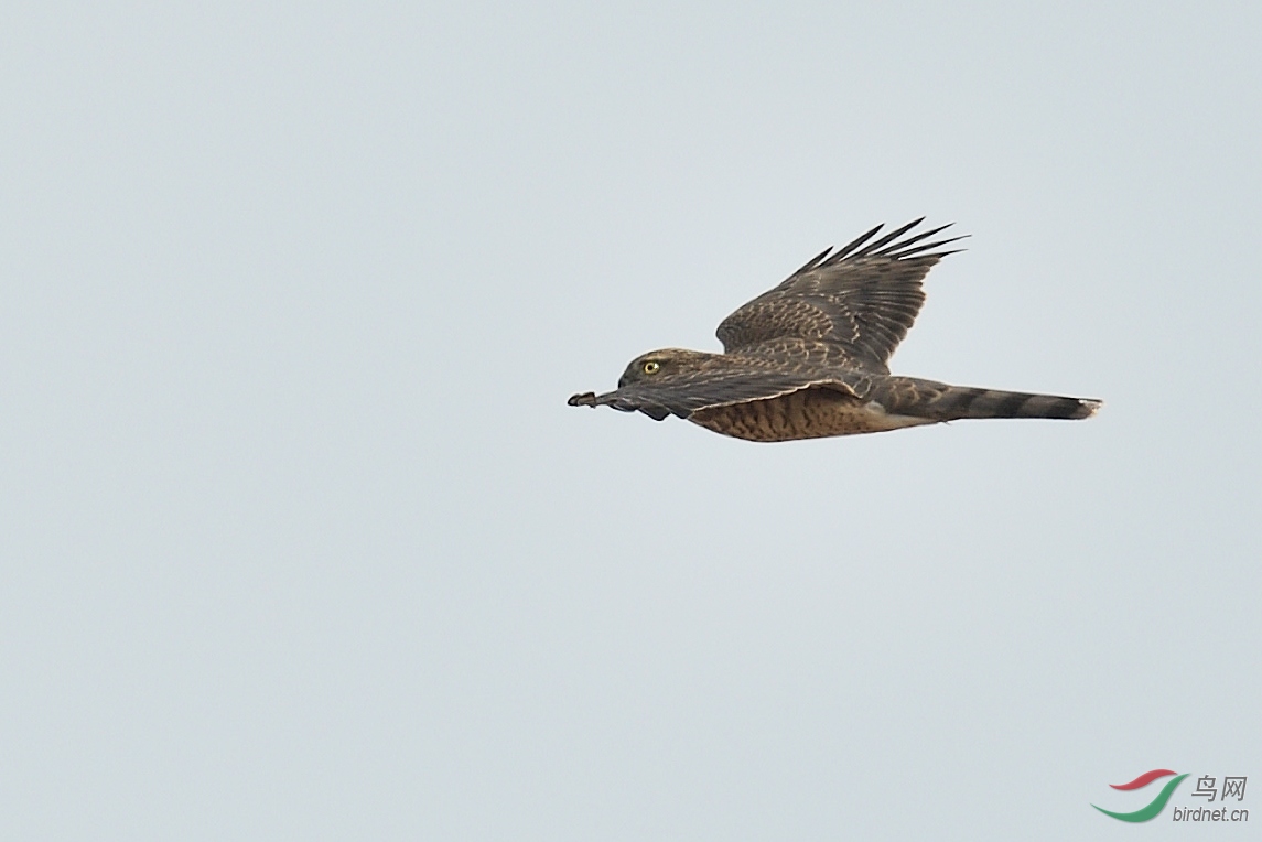 DSC_9468.JPG