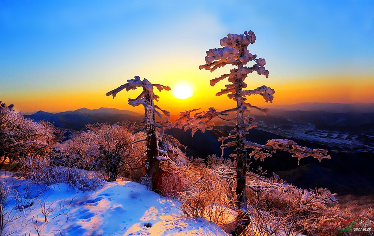 雪山日出