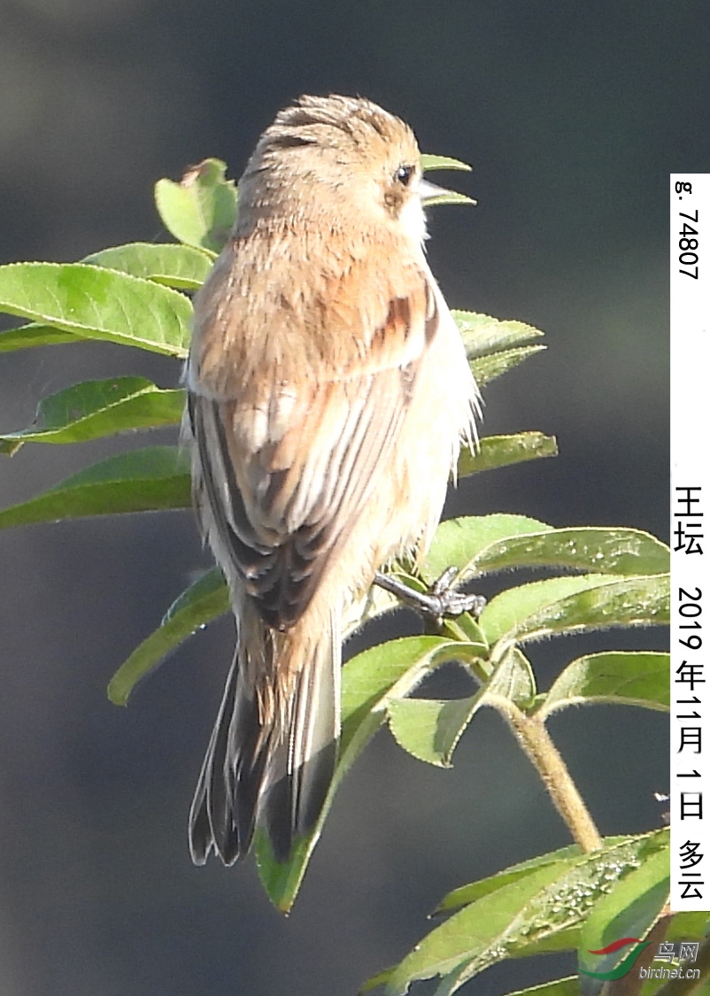 g.74807_����.jpg
