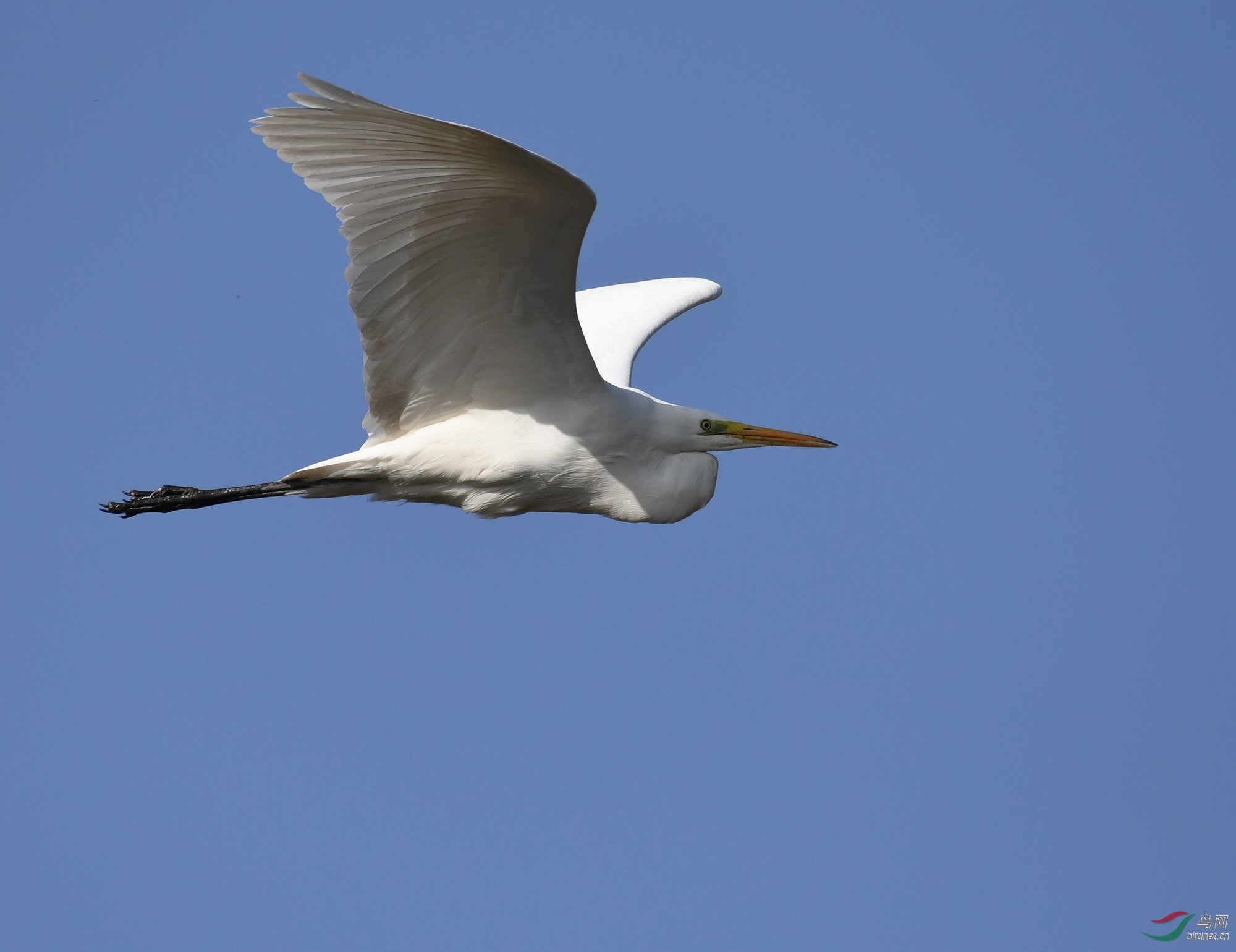 ������Ӱ 3056����.jpg