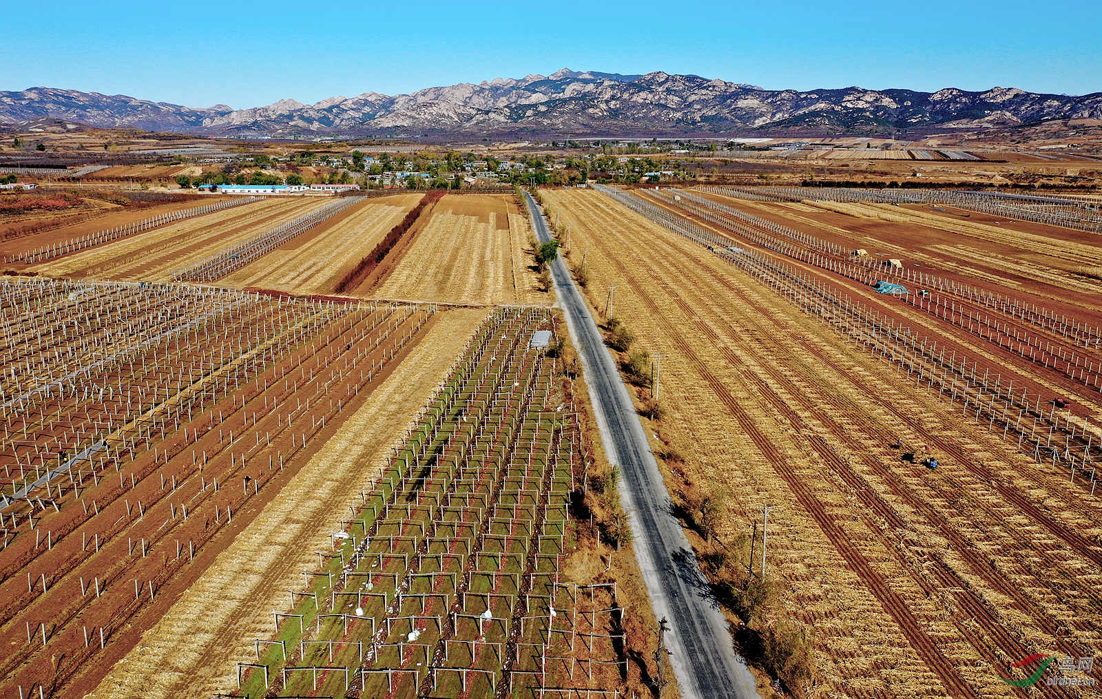 1DJI_0847_����.jpg