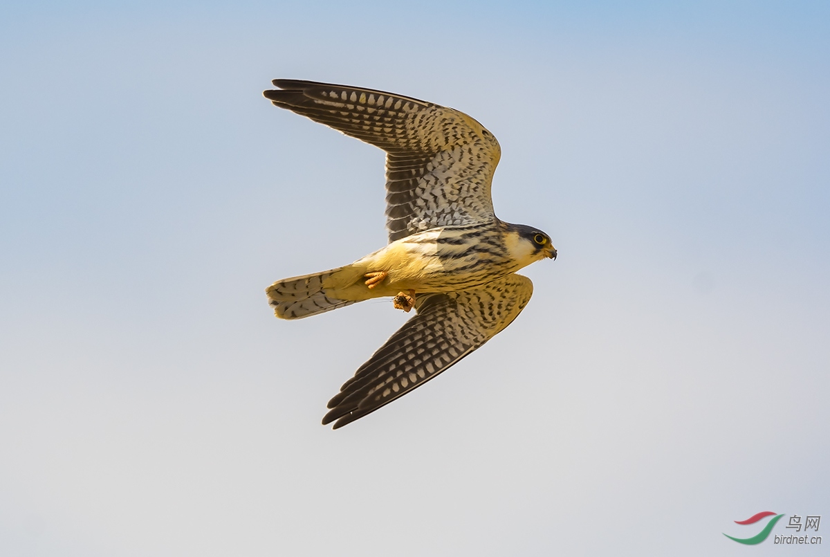 DSC_0764.jpg