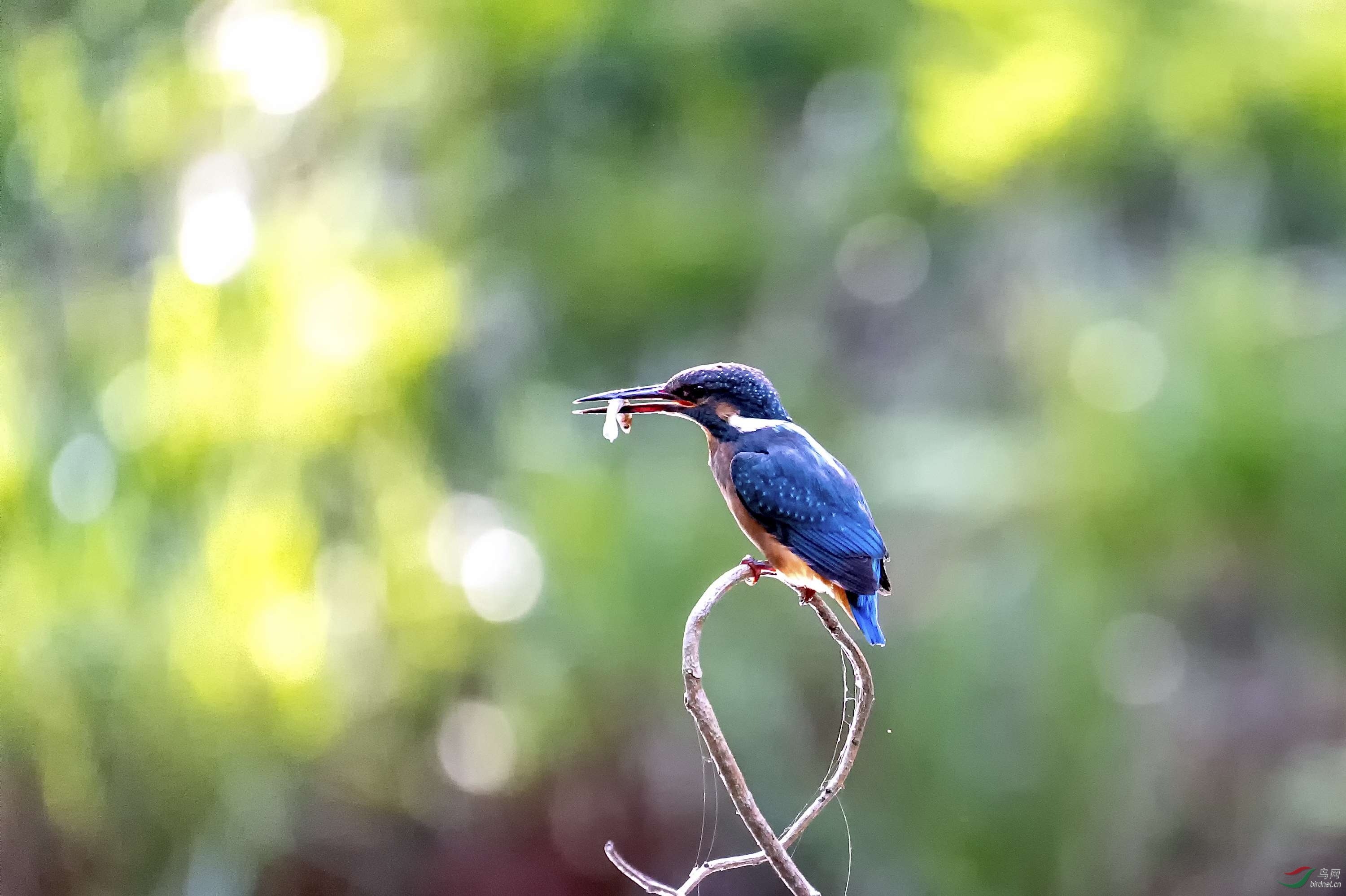 DSC_6074.jpg