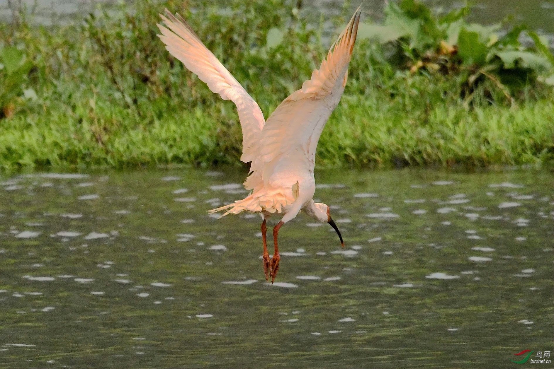 NIKON CORPORATION_NIKON D500_5646416-5648860_000.JPG