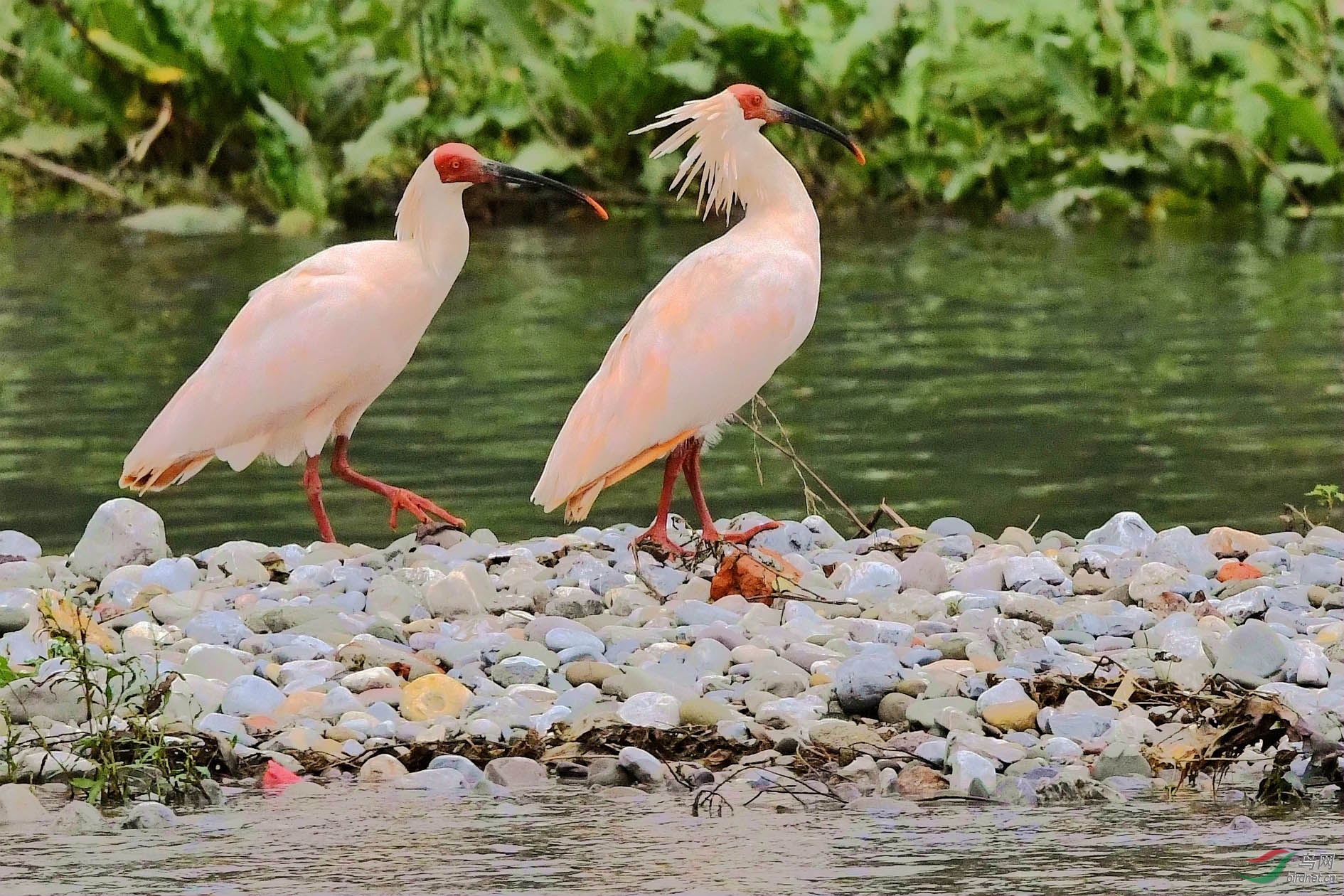 NIKON CORPORATION_NIKON D500_5729504-5732250_000.JPG
