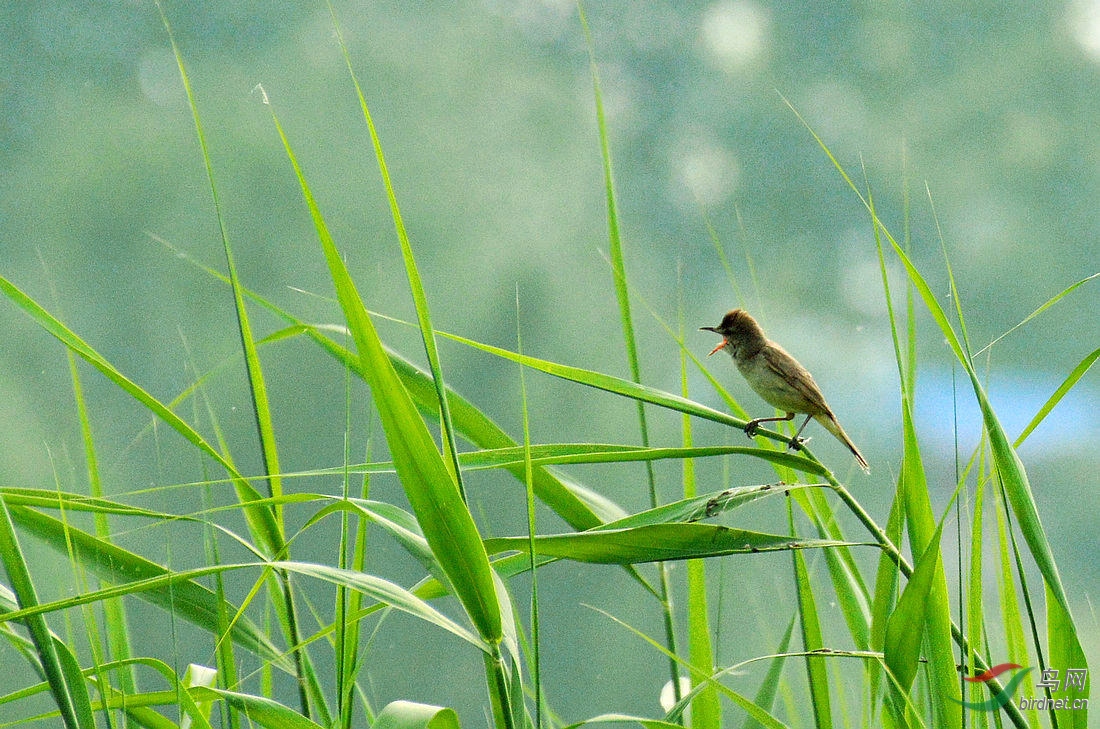 DSC_5227.JPG