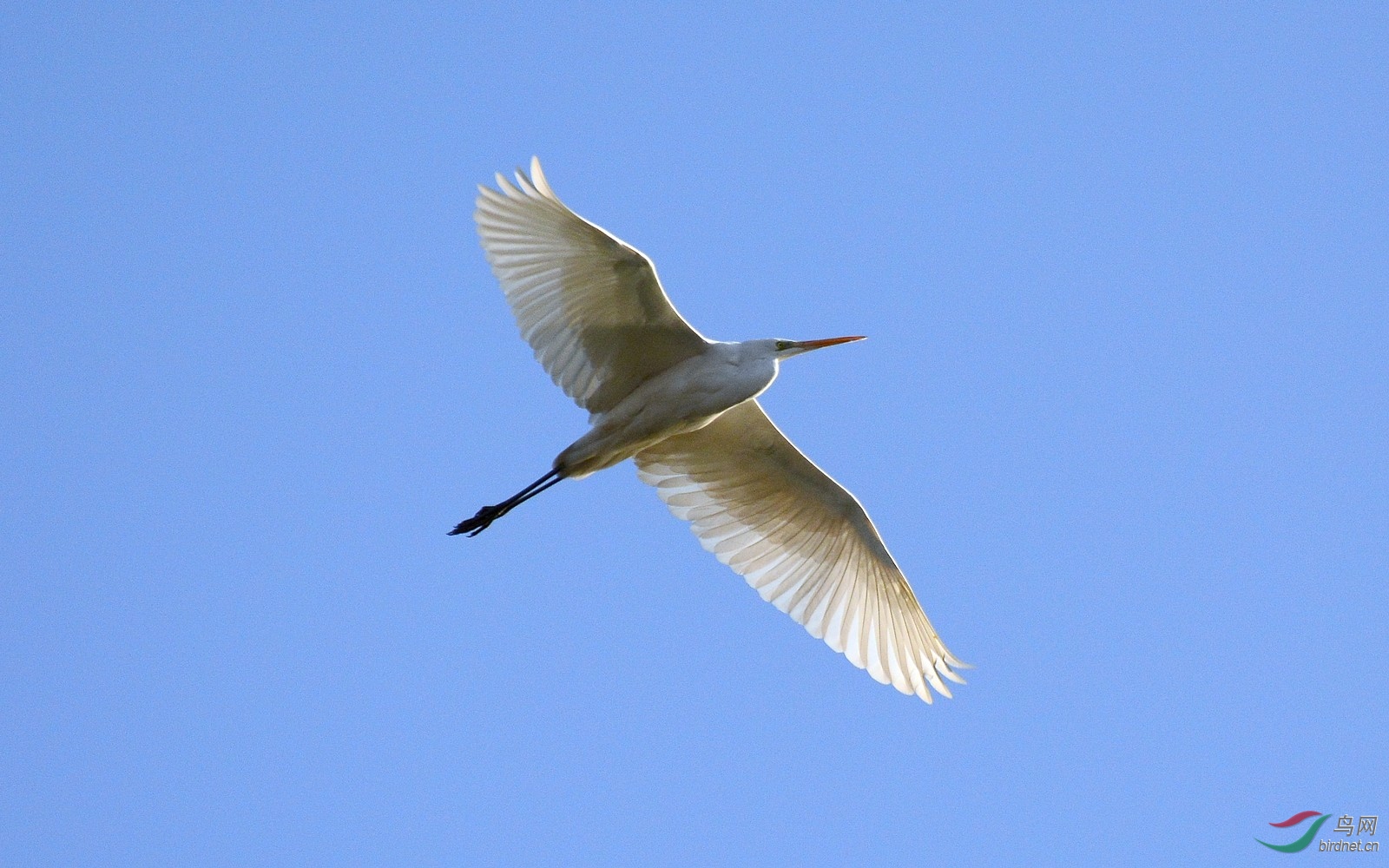 DSC_6236.JPG