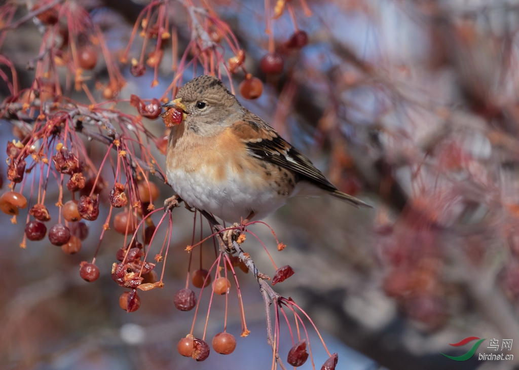 3S5A8051  01_����.jpg