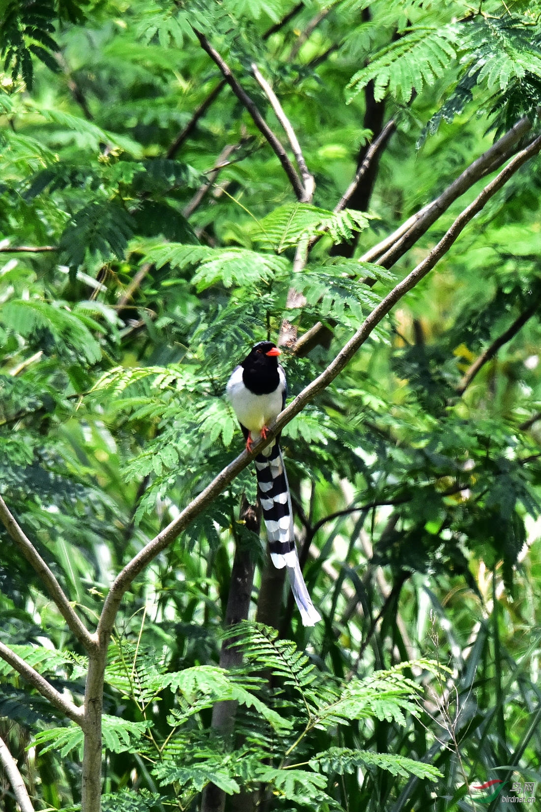 DSC_0658.JPG
