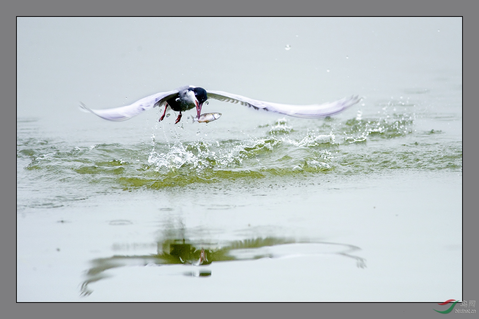 DSC_7670.jpg