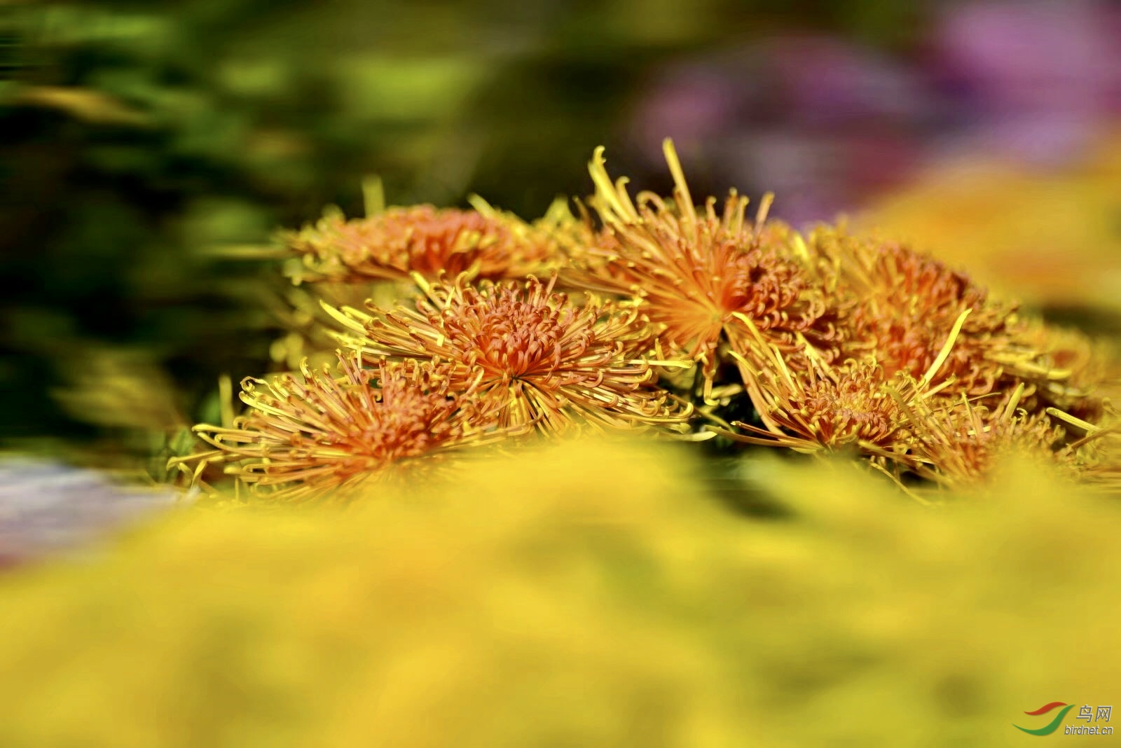 237E7126-994A-48A5-BBA8-35FF0E0F4888.jpeg
