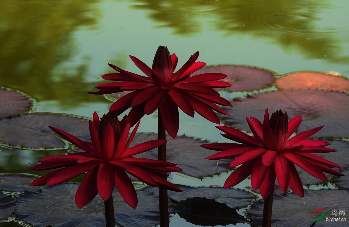 DSCN5611.JPG