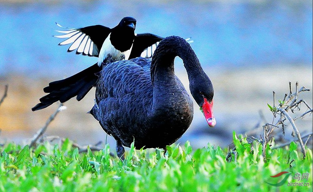 psb (7)_����.jpg