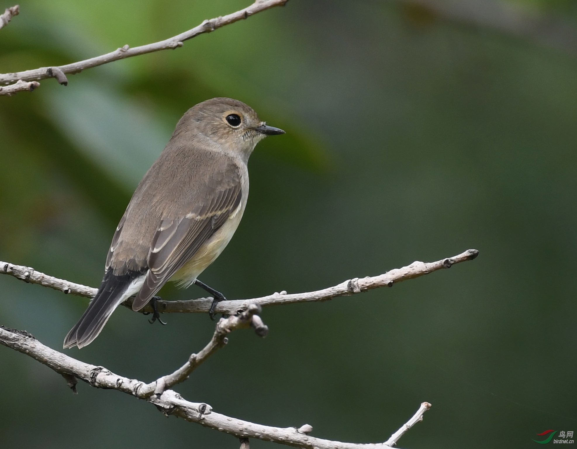 ������Ӱ 715����.jpg