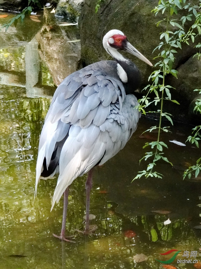 DSC07887.jpg