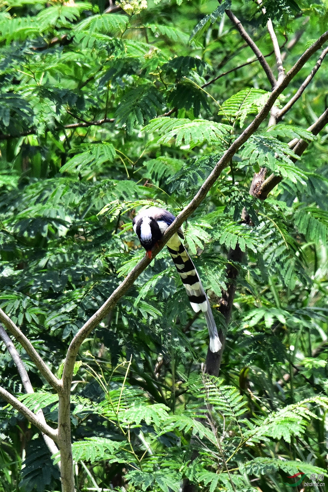 DSC_0662.JPG