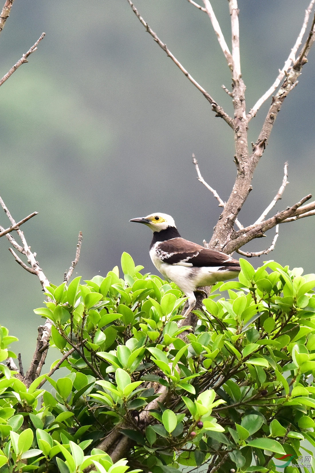 DSC_0242.JPG