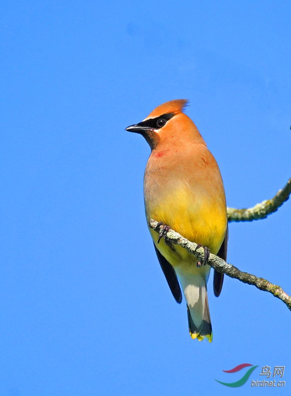 DSC02797-._���� - Copy.jpg