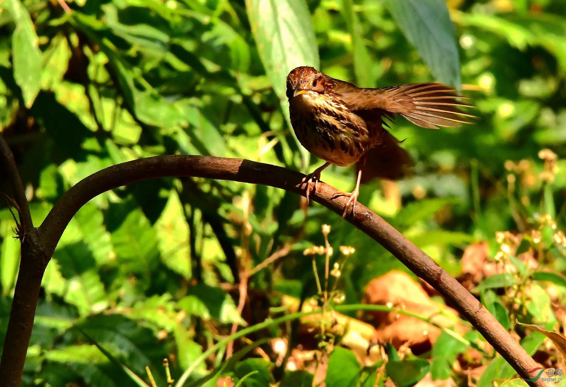 DSC_5897_����.jpg