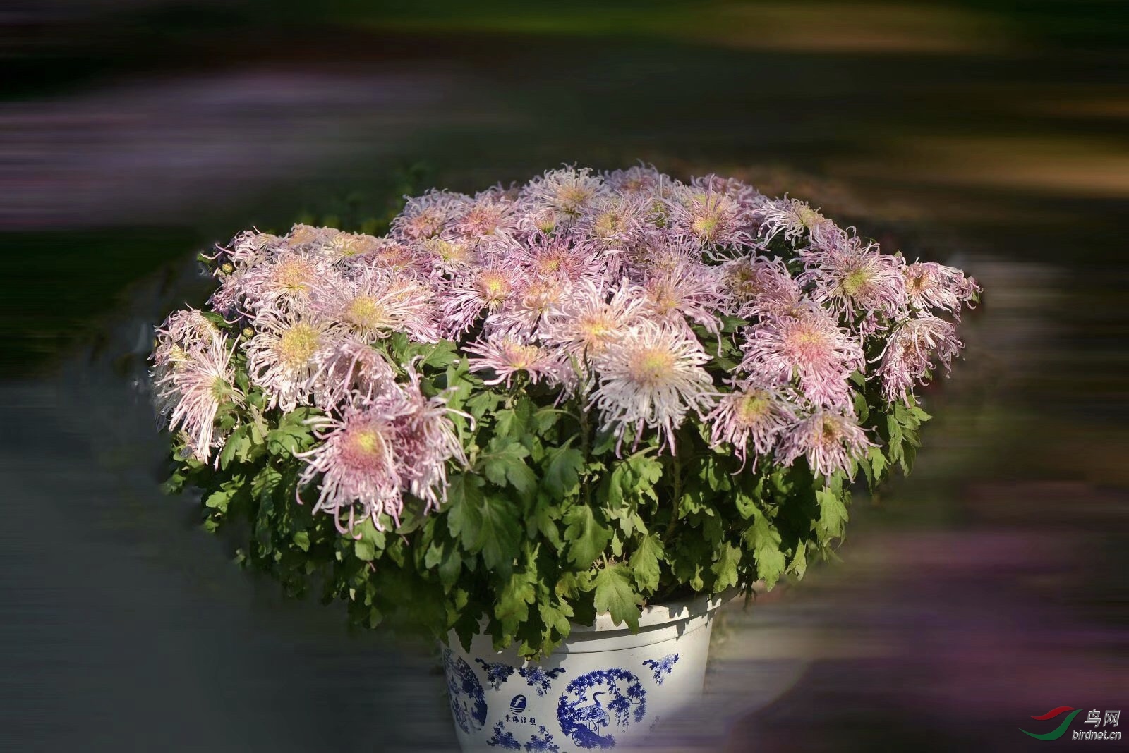 F207F5EE-CAE0-4284-B508-BA45044FAB61.jpeg