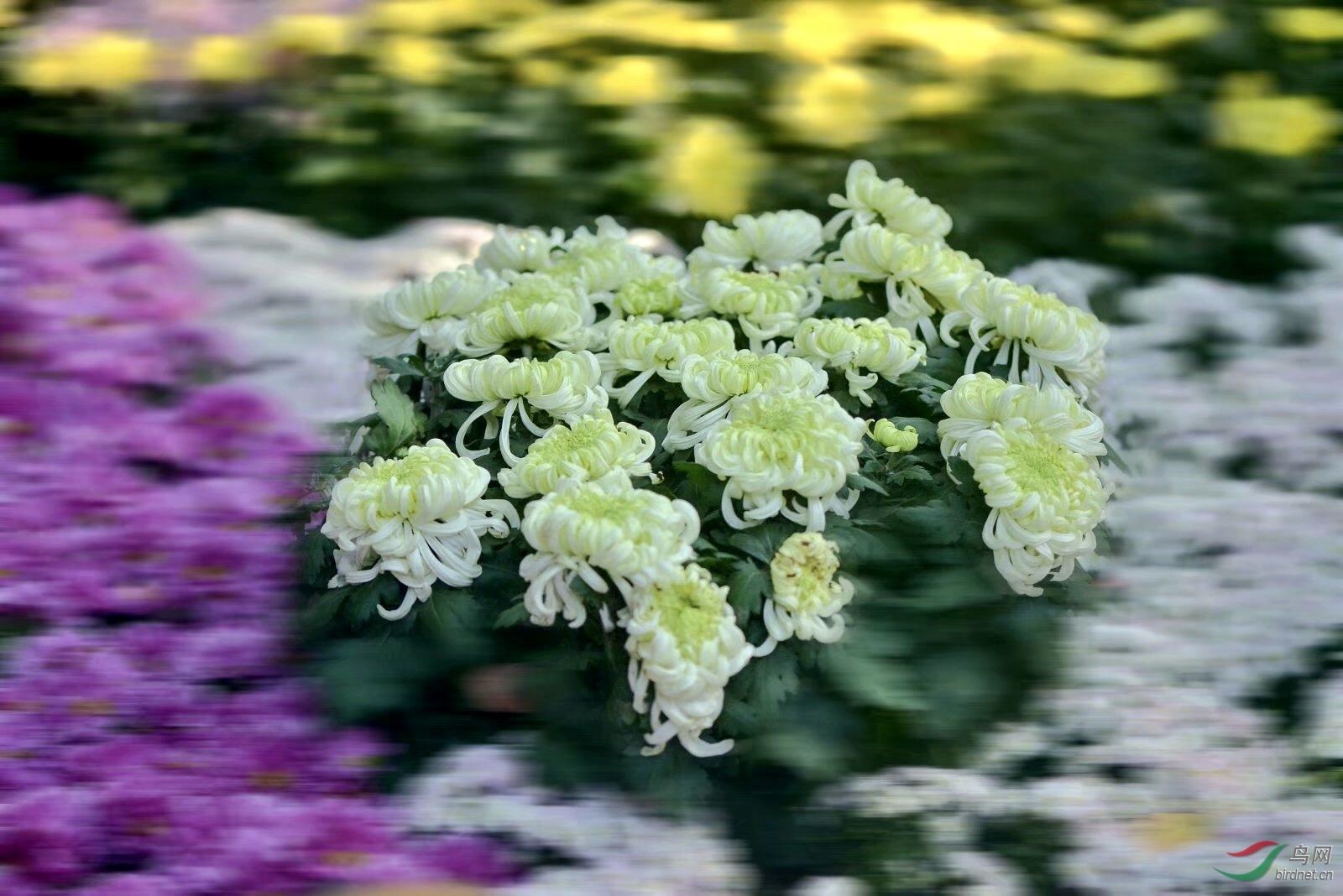CE5A7565-1EFC-4066-B433-FA63758875B7.jpeg