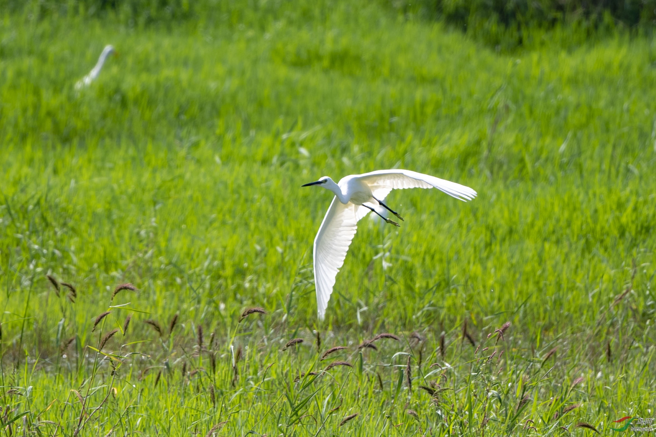 D50_4679.jpg