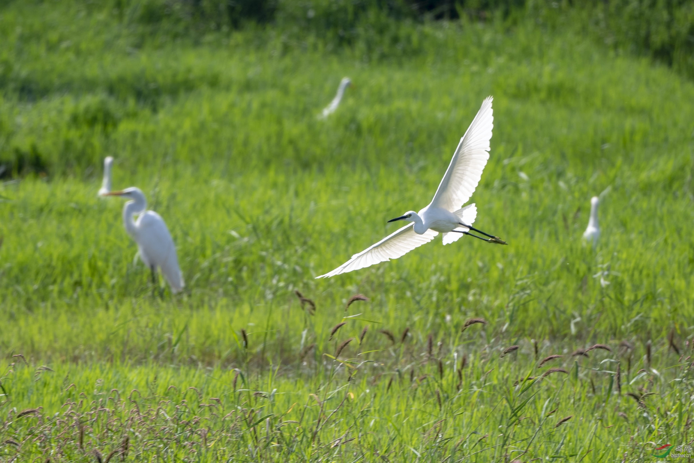 D50_4680.jpg