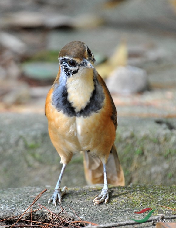 DSC_8090.JPG