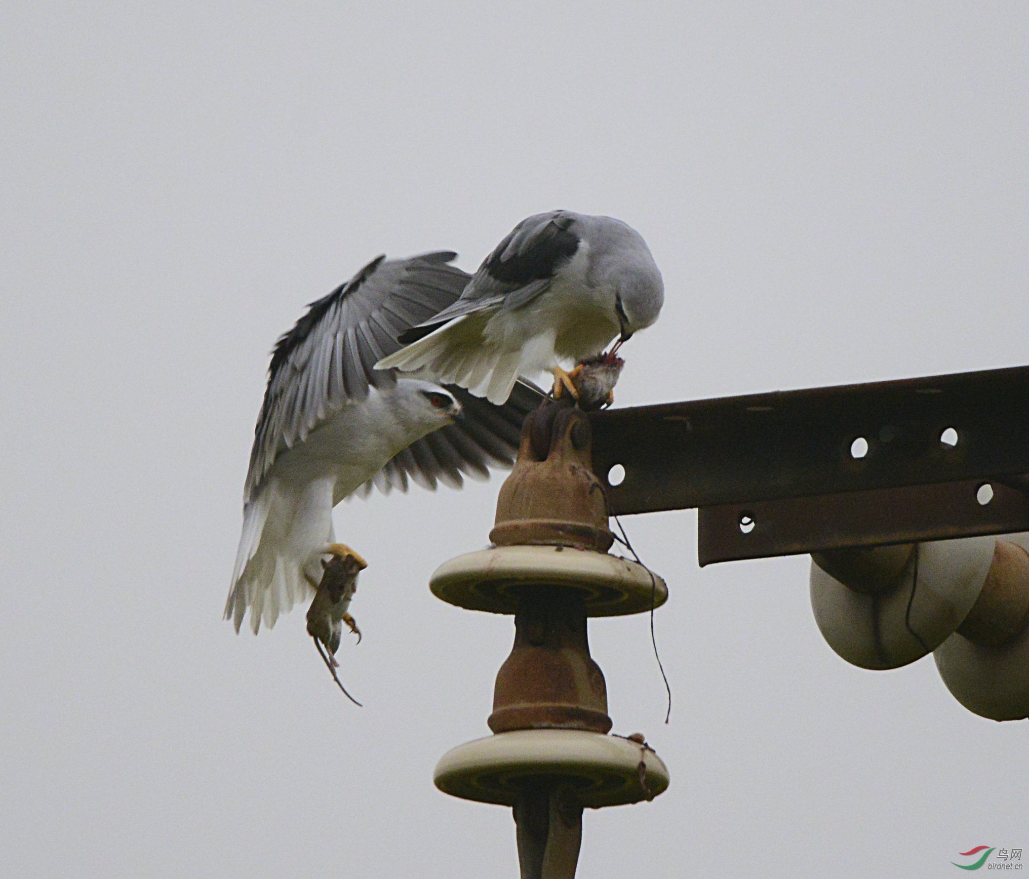 DSC_1420.jpg