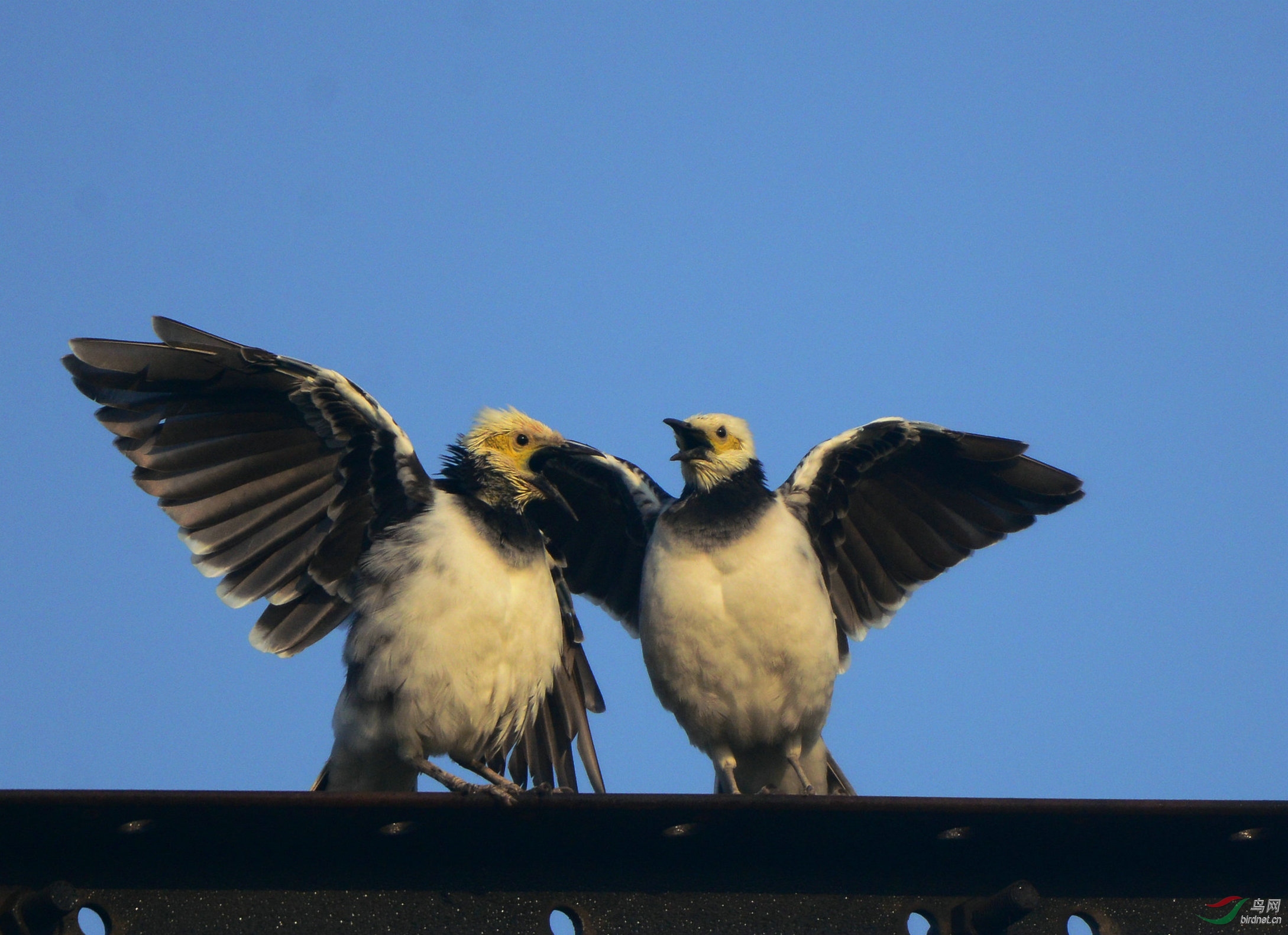 DSC_3759.jpg