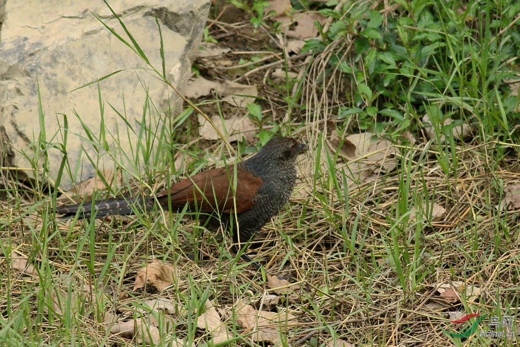 367A0778_����.jpg