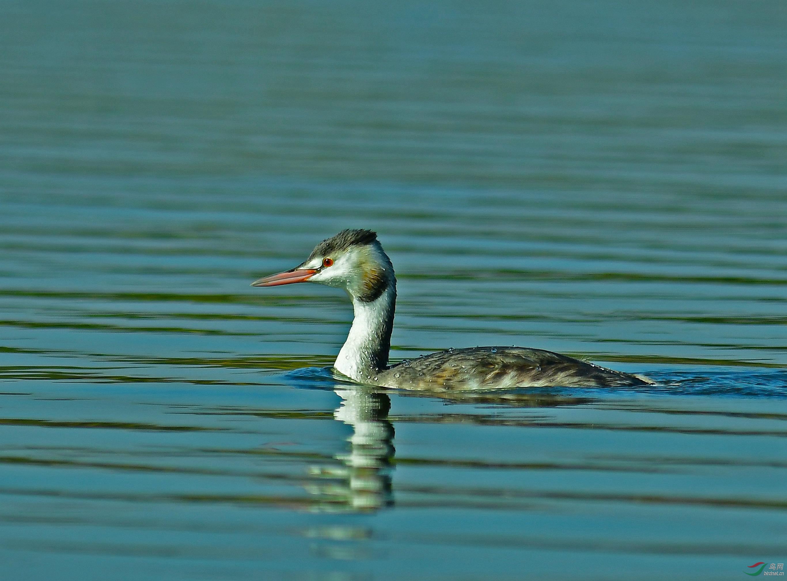 DSC_3135.JPG