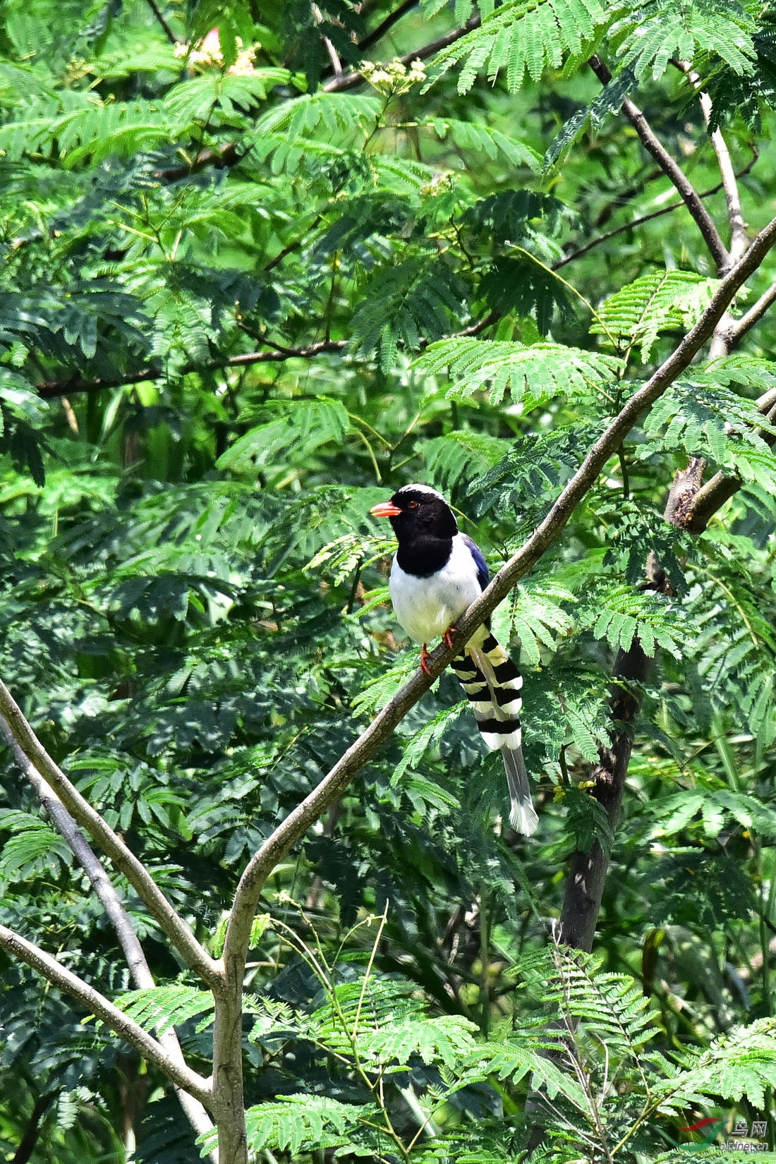 DSC_0665.JPG