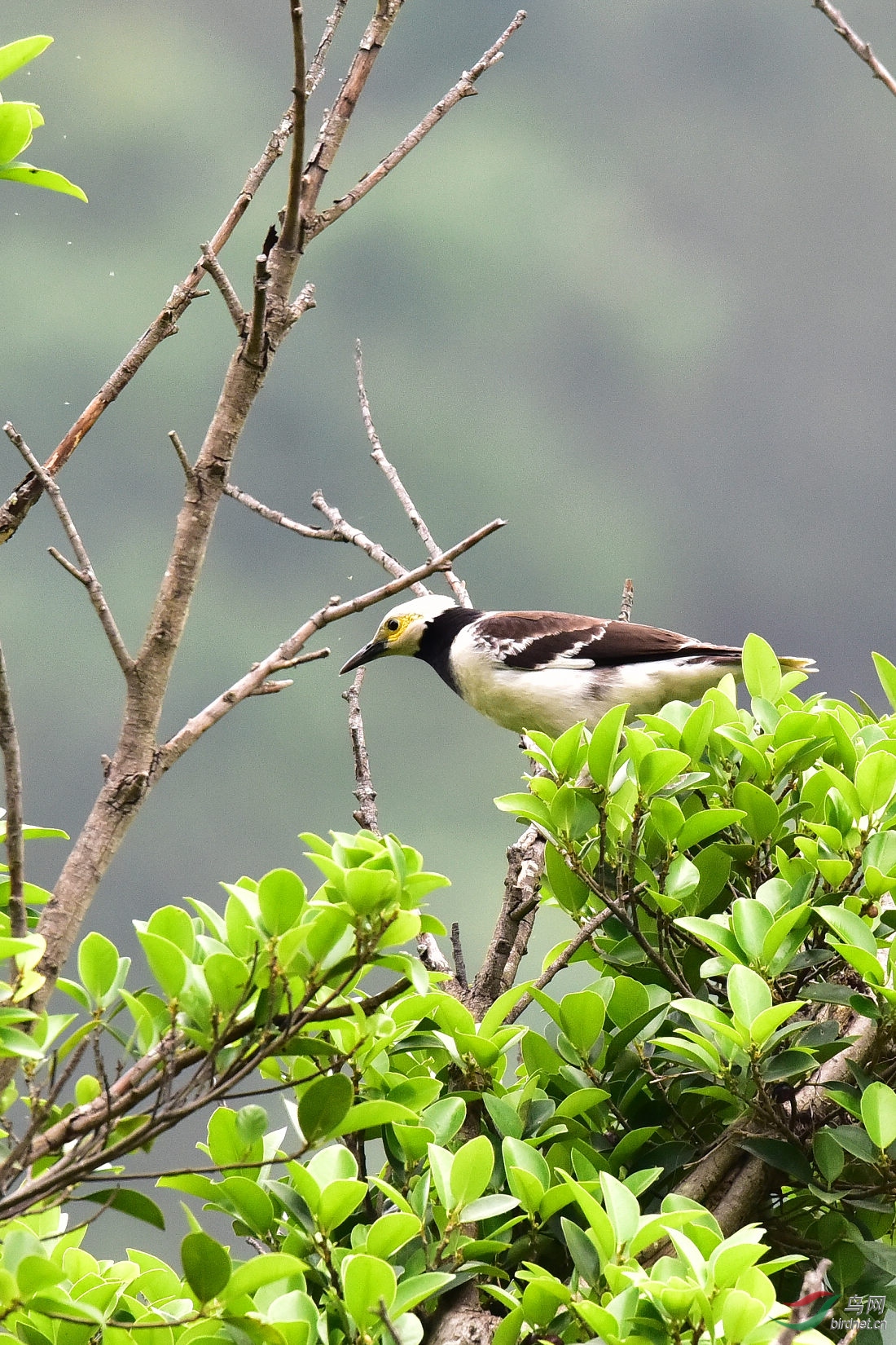 DSC_0244.JPG