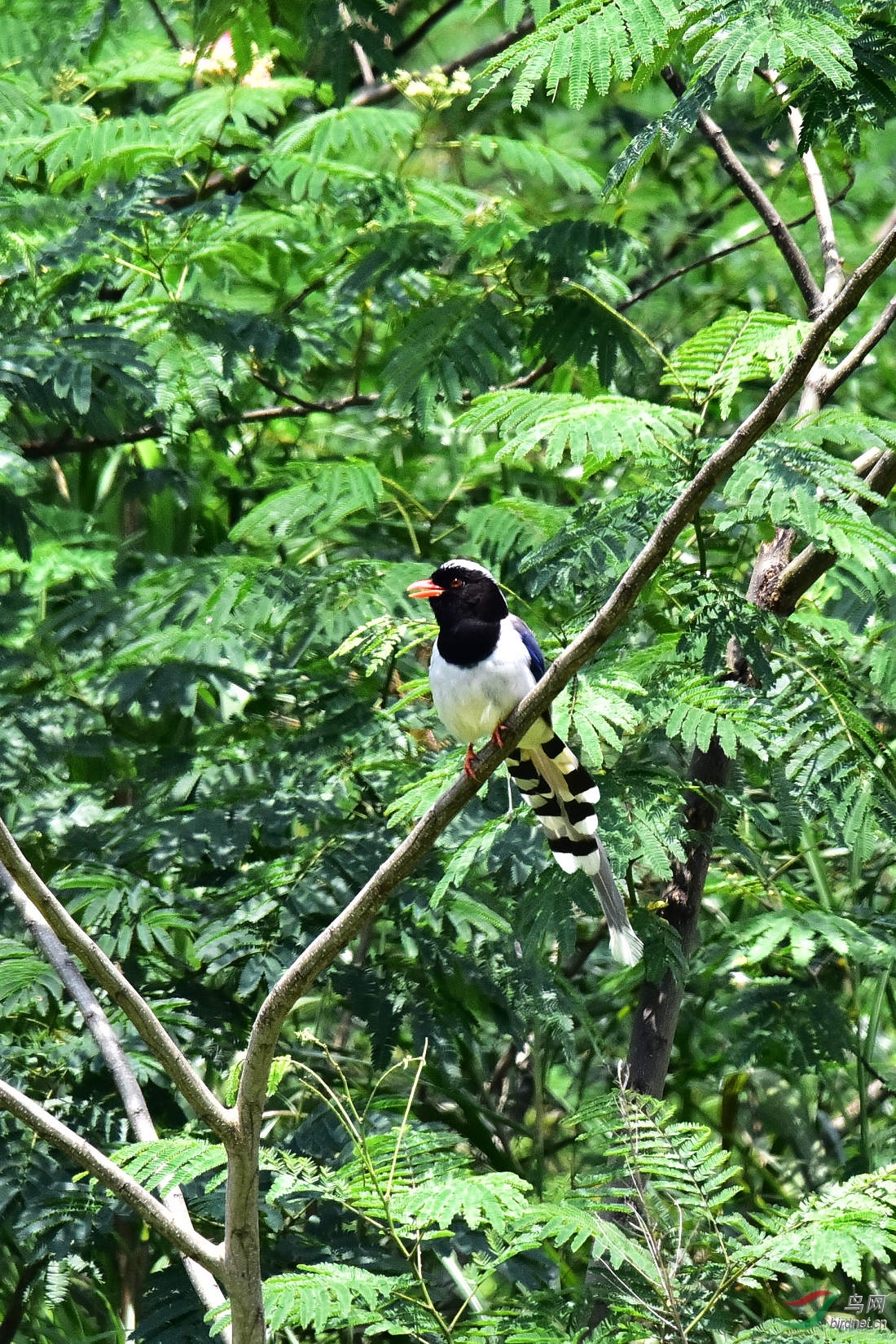 DSC_0666.JPG