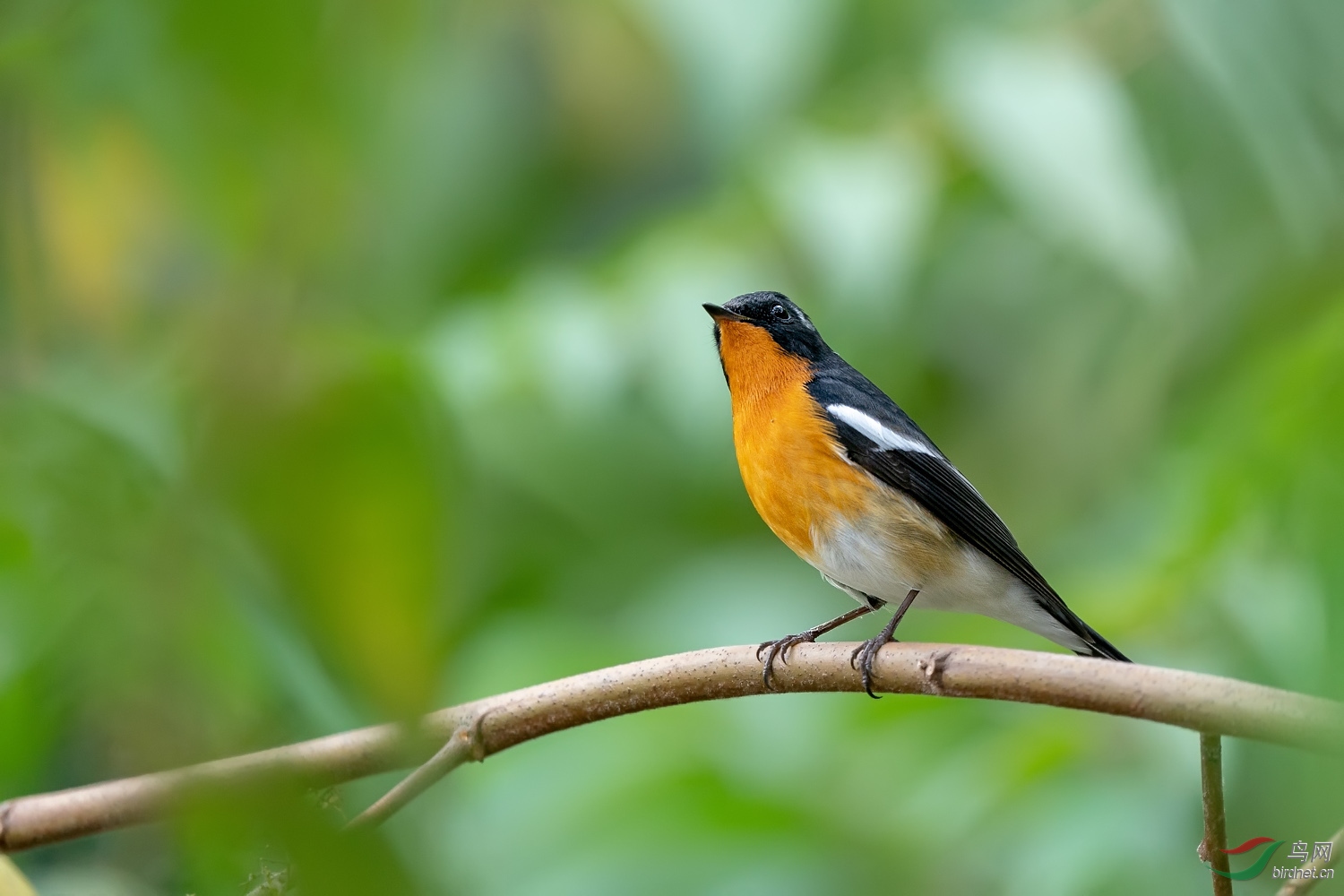 A9D01057a.jpg