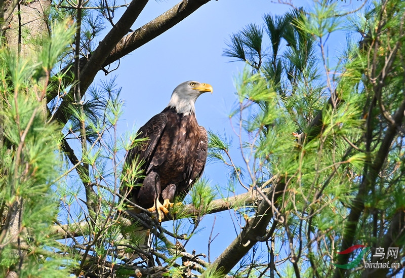 DSC_8508-_����.jpg