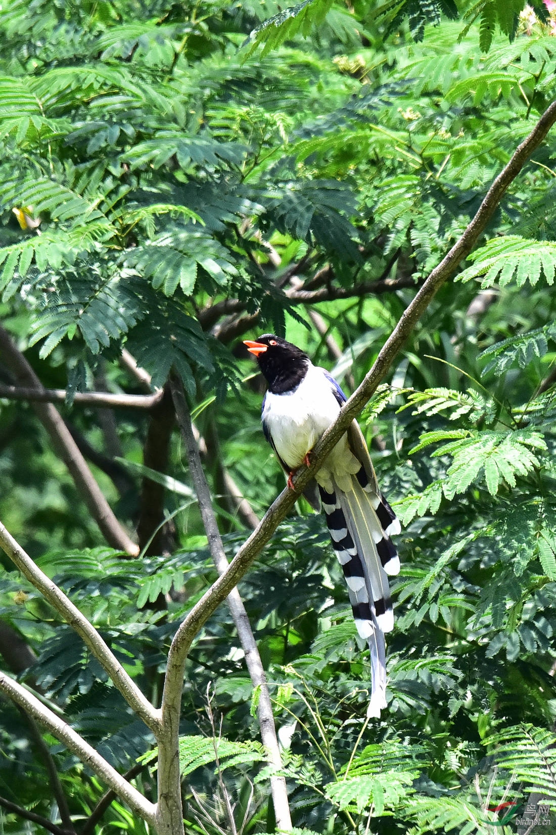 DSC_0668.JPG