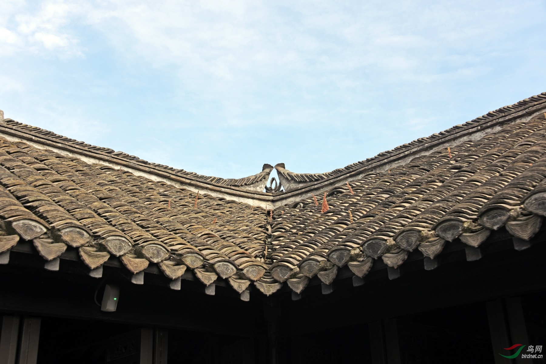 DSC_6744fb_����.jpg