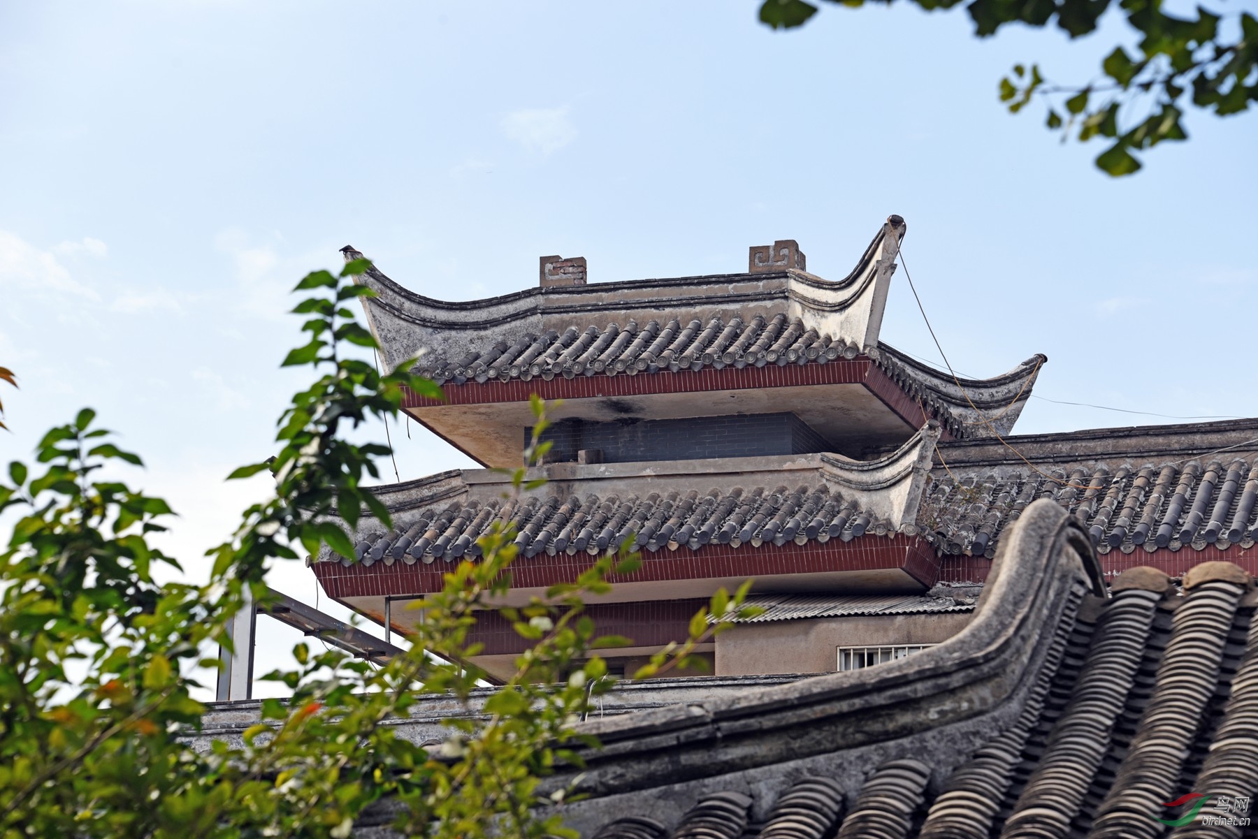 DSC_6787fb_����.jpg
