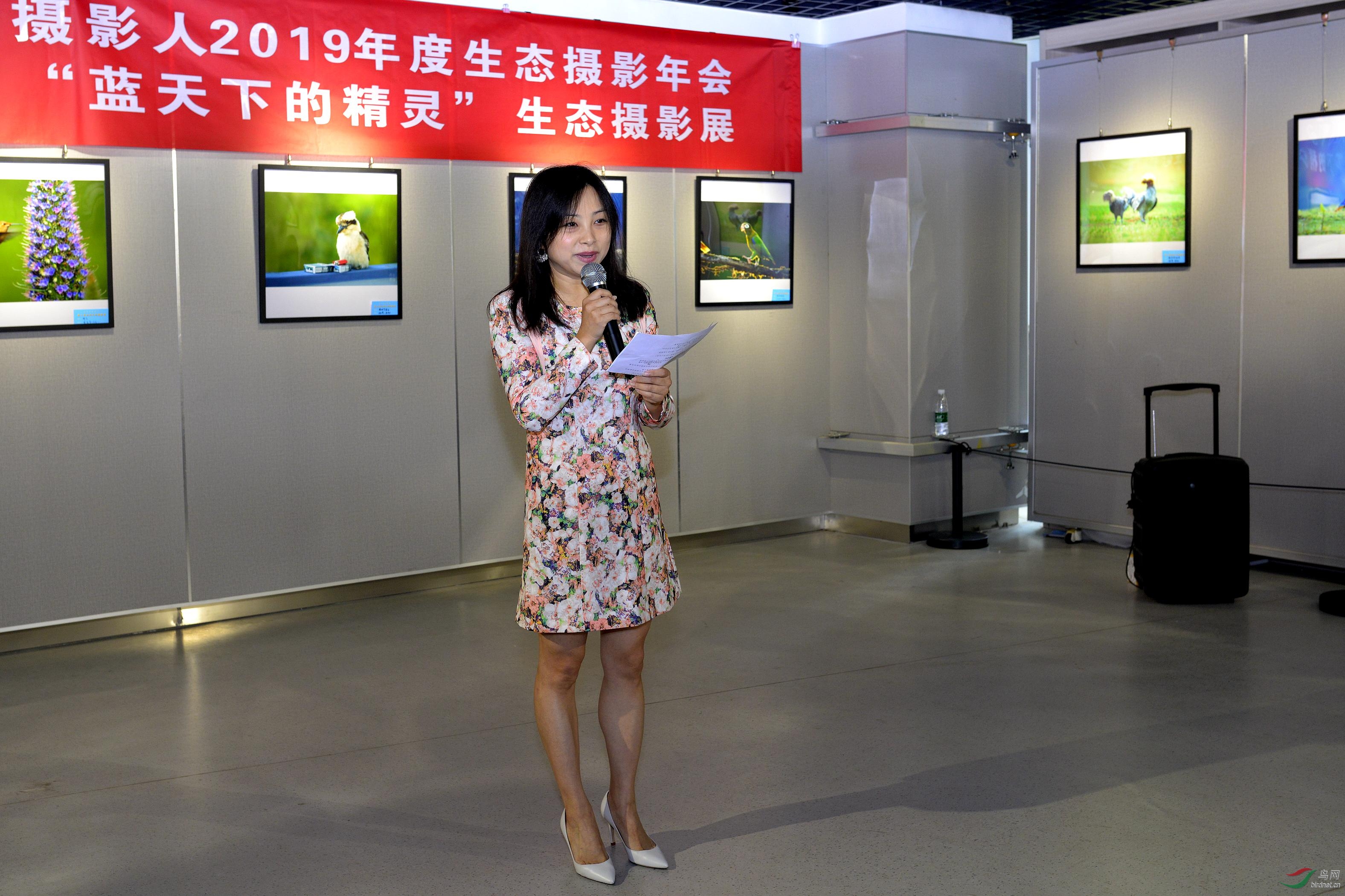 ��Ů������--�ۻ�